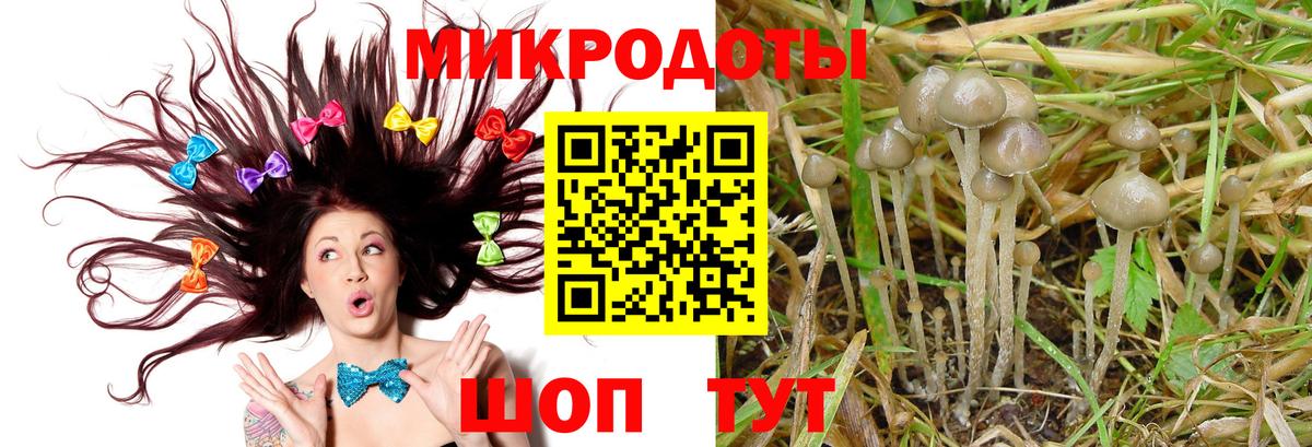 Псилоцибиновые грибы Magic Shrooms  Псилоцибиновые грибы Cubensis  купить закладку  Улан-Удэ  Вход с VPN 
